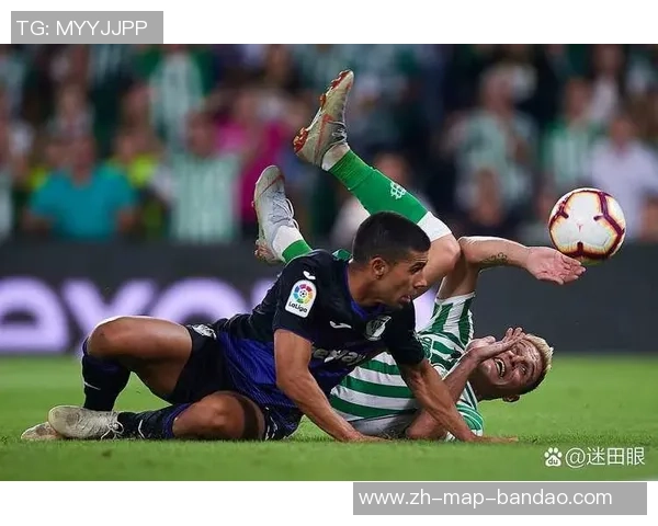 这该死的足球让我爱恨交织的激情与痛苦交错的赛场人生 这该死的足球让我爱恨交织的激情与痛苦交错的赛场人生